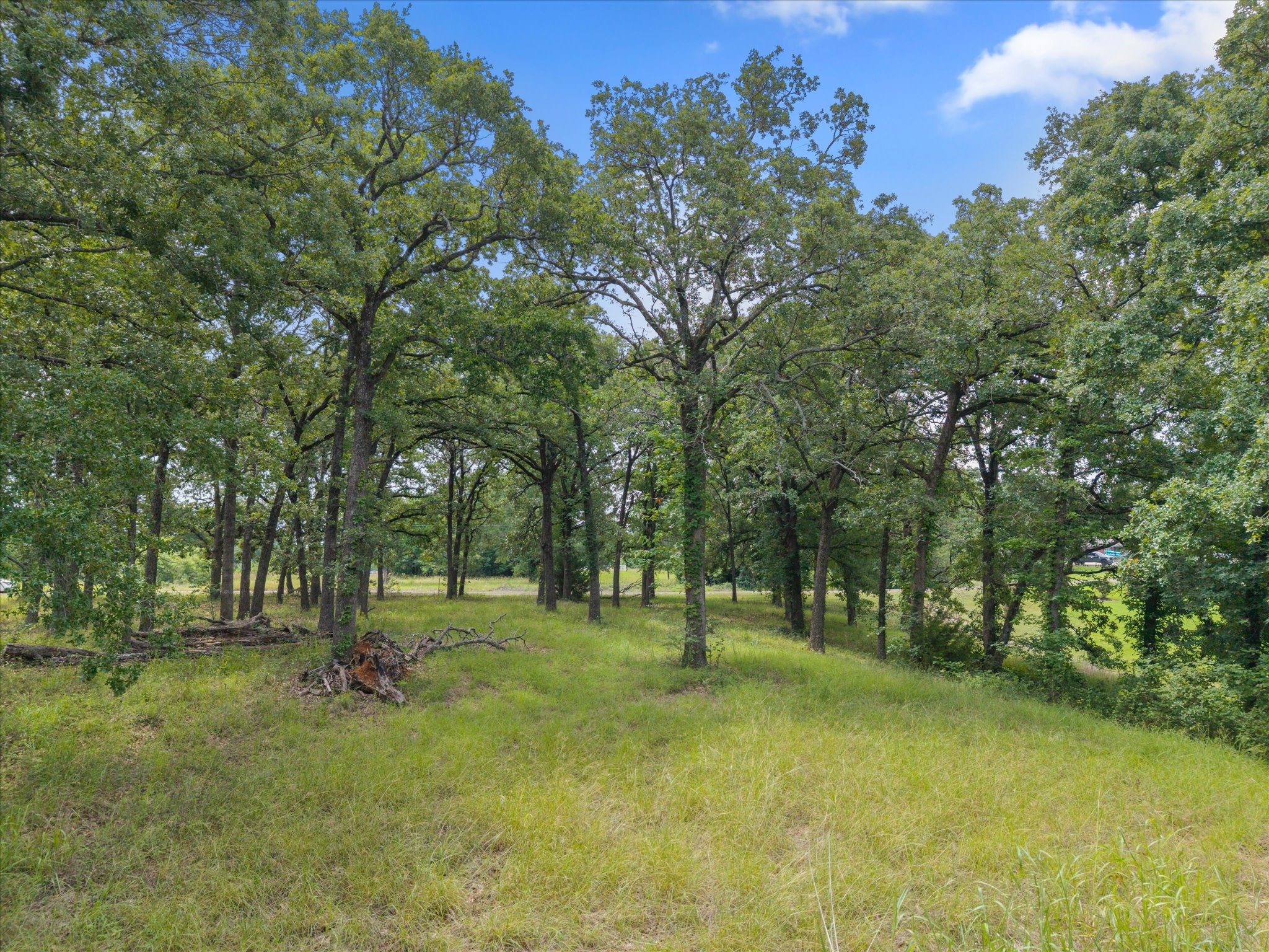 78 & 79 Tall Oaks Drive Streetman TX 75859