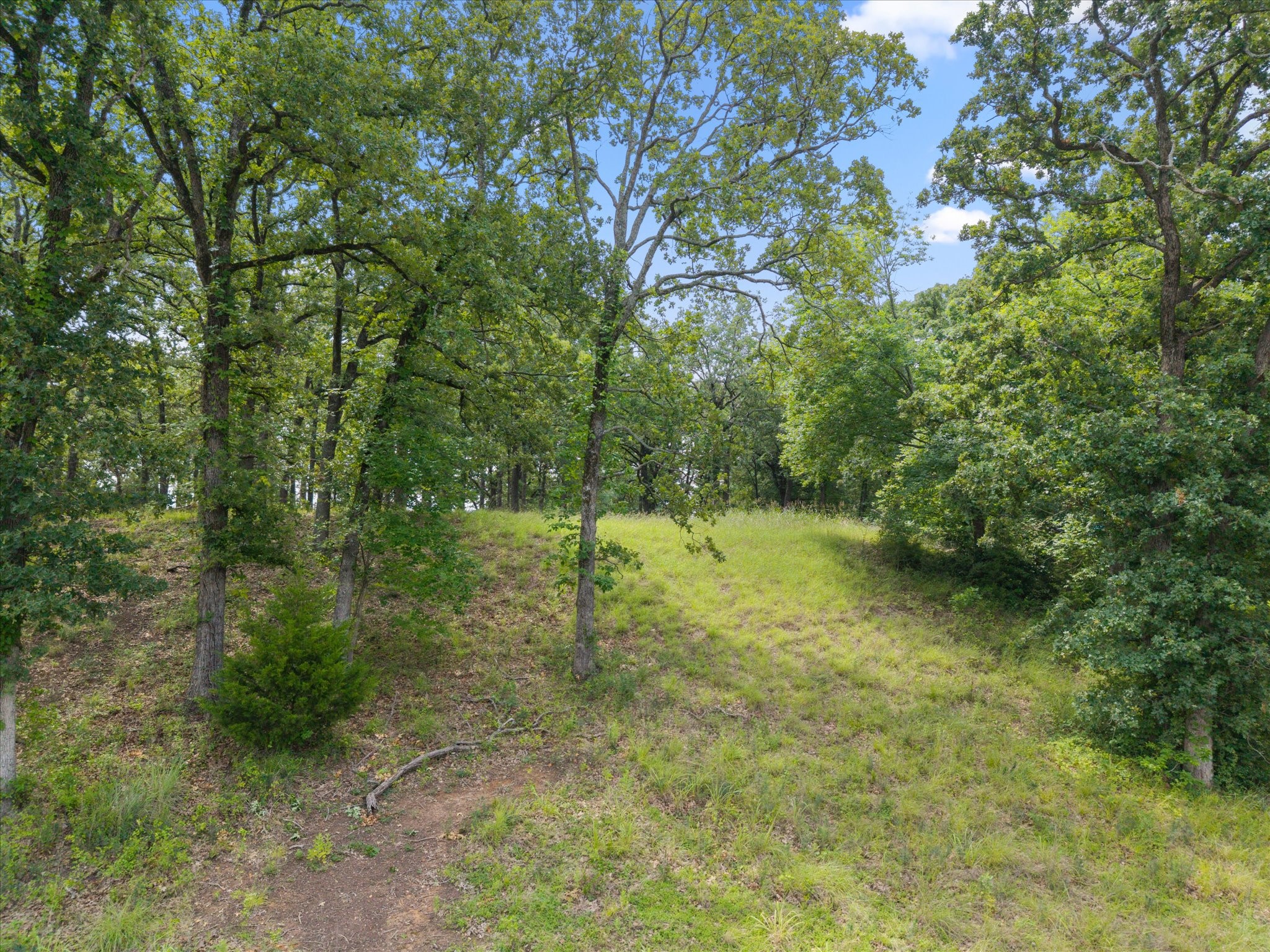 78 & 79 Tall Oaks Drive Streetman TX 75859