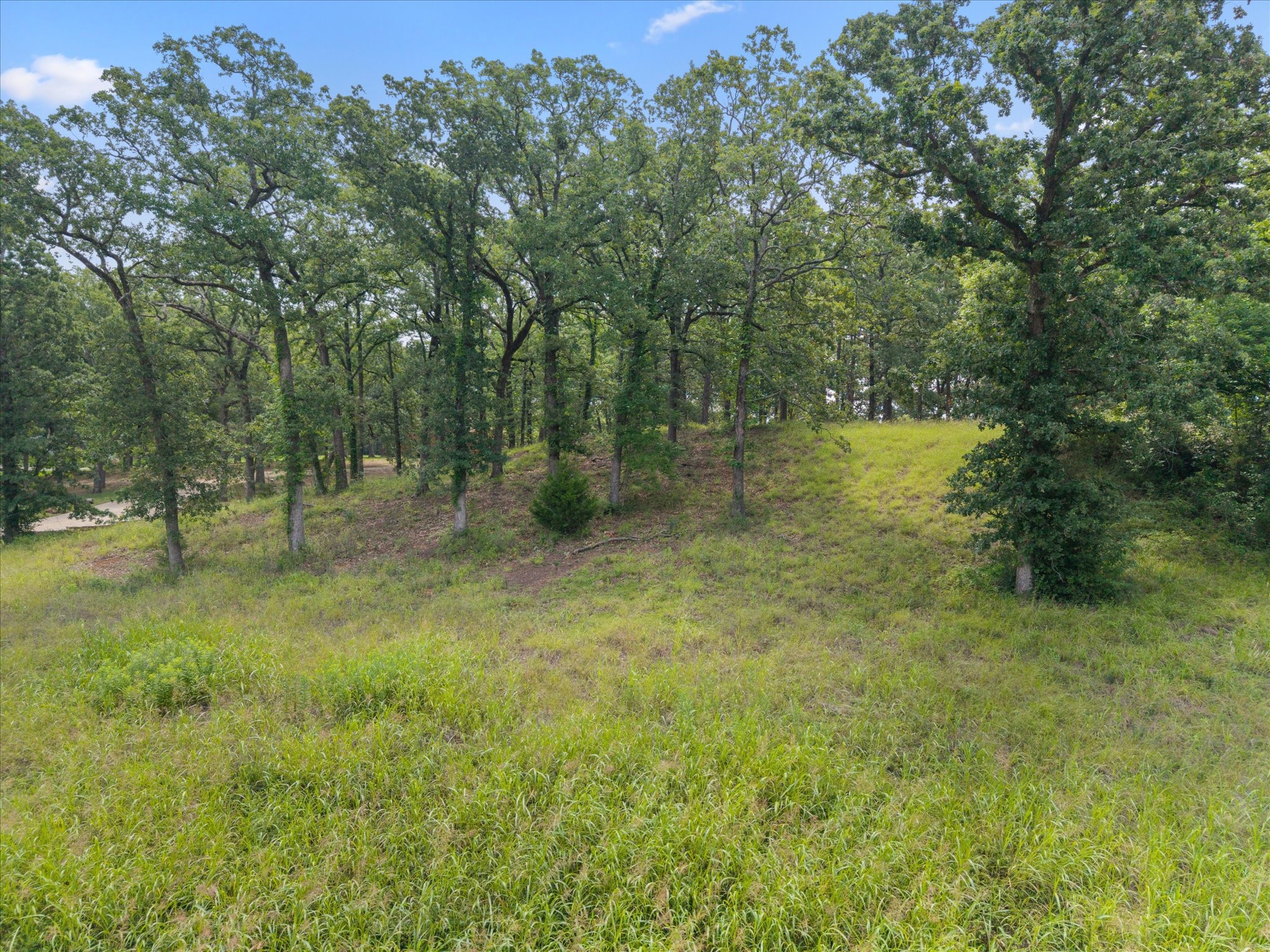 78 & 79 Tall Oaks Drive Streetman TX 75859