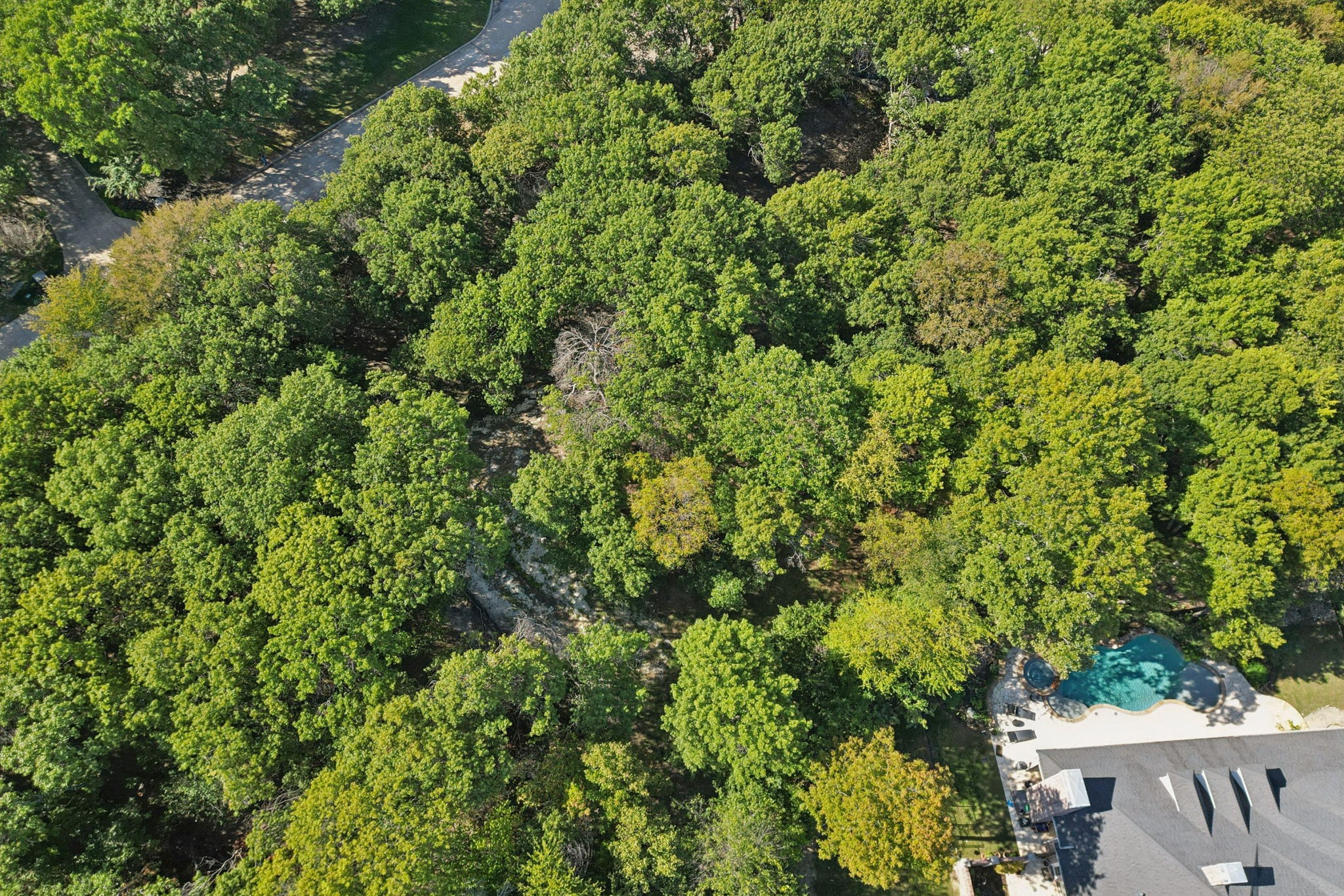 811 Shady Brook Lane Fairview TX 75069
