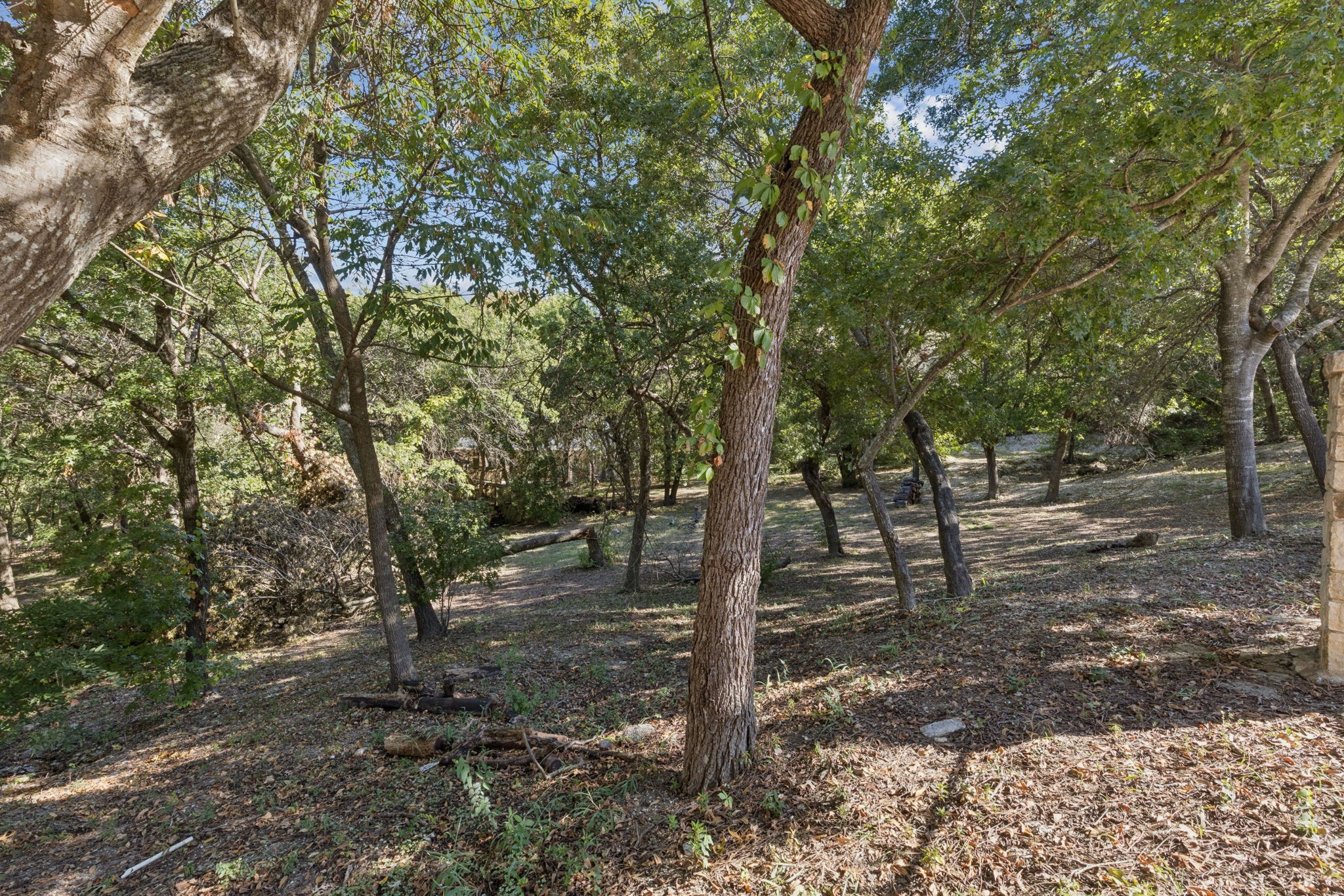 811 Shady Brook Lane Fairview TX 75069