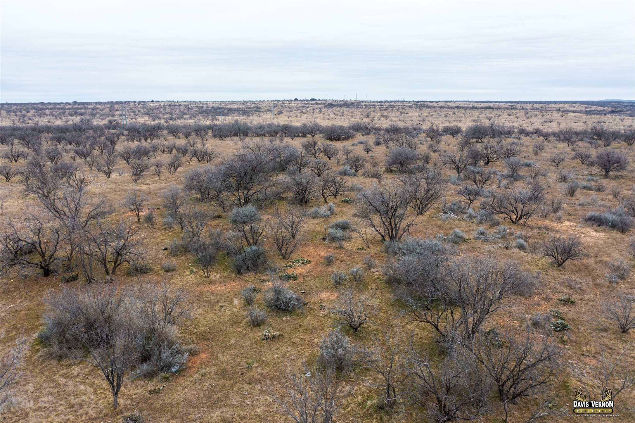 1333 N Highway 283 Baird TX 79504