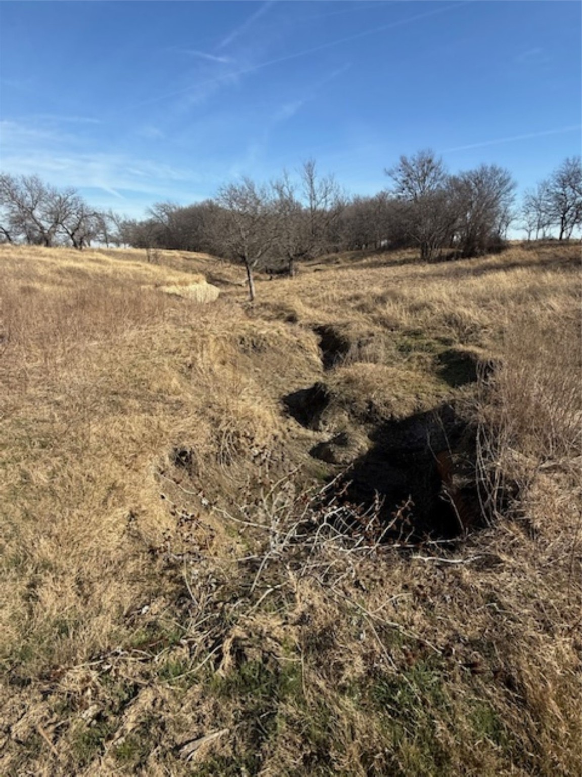 363 County Road 4403 Grandview TX 76050