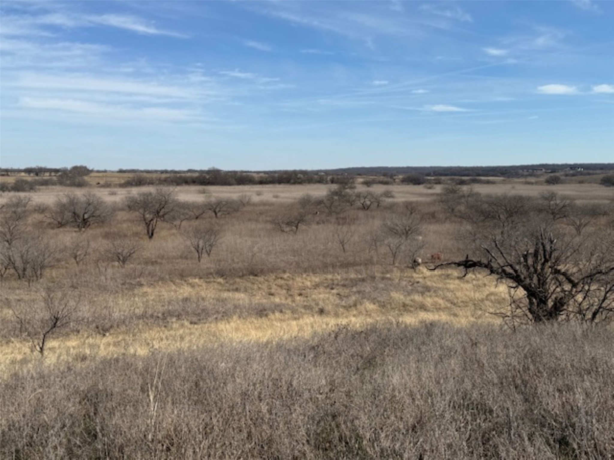 363 County Road 4403 Grandview TX 76050