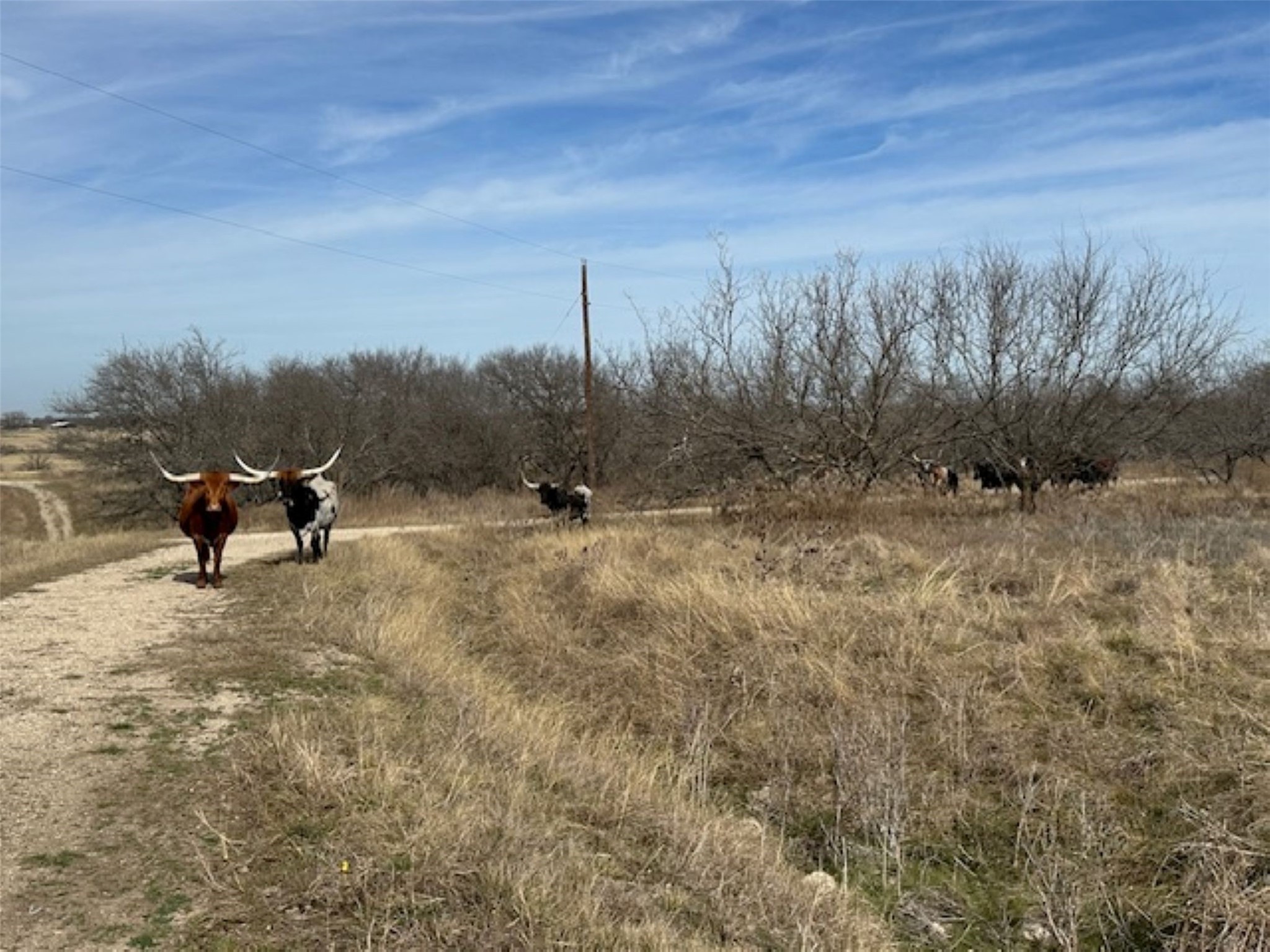 363 County Road 4403 Grandview TX 76050
