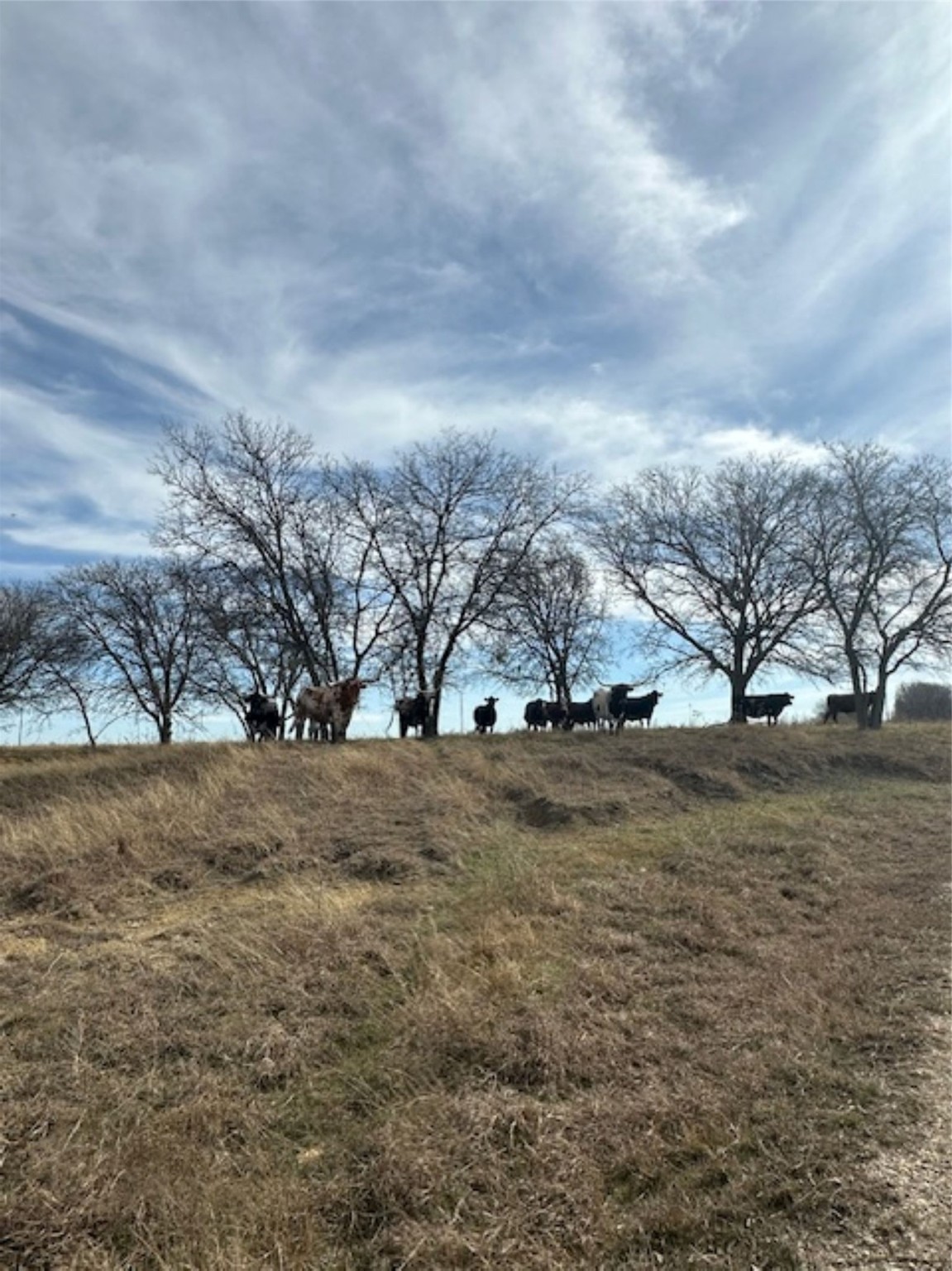363 County Road 4403 Grandview TX 76050