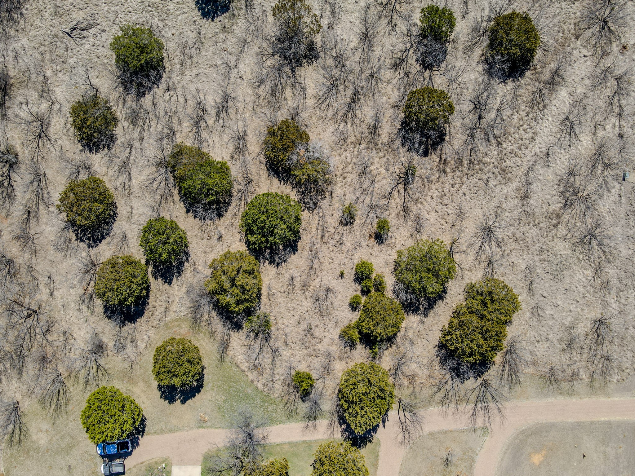 Lot 1029 Cinnamon Teal Graford TX 76449
