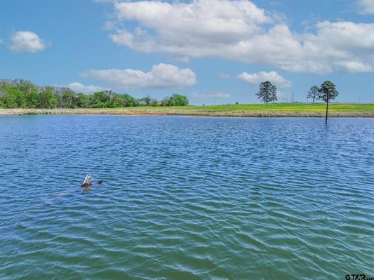 973 County Road 1604 Grand Saline TX 75140