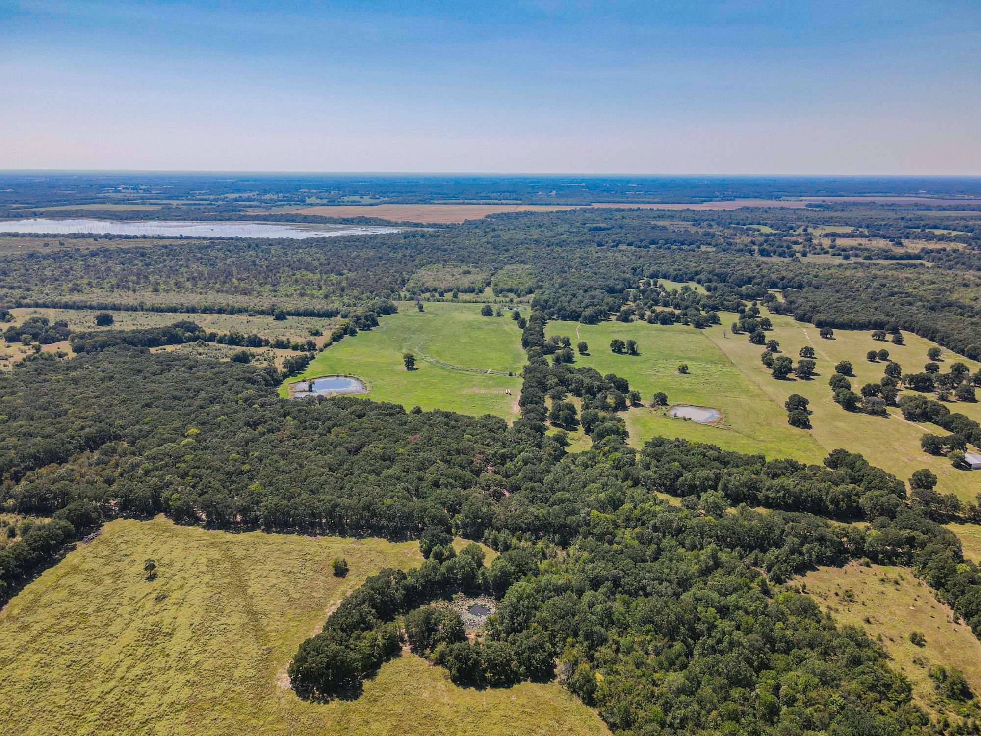 Tbd County Road 1280 Lake Creek TX 75481