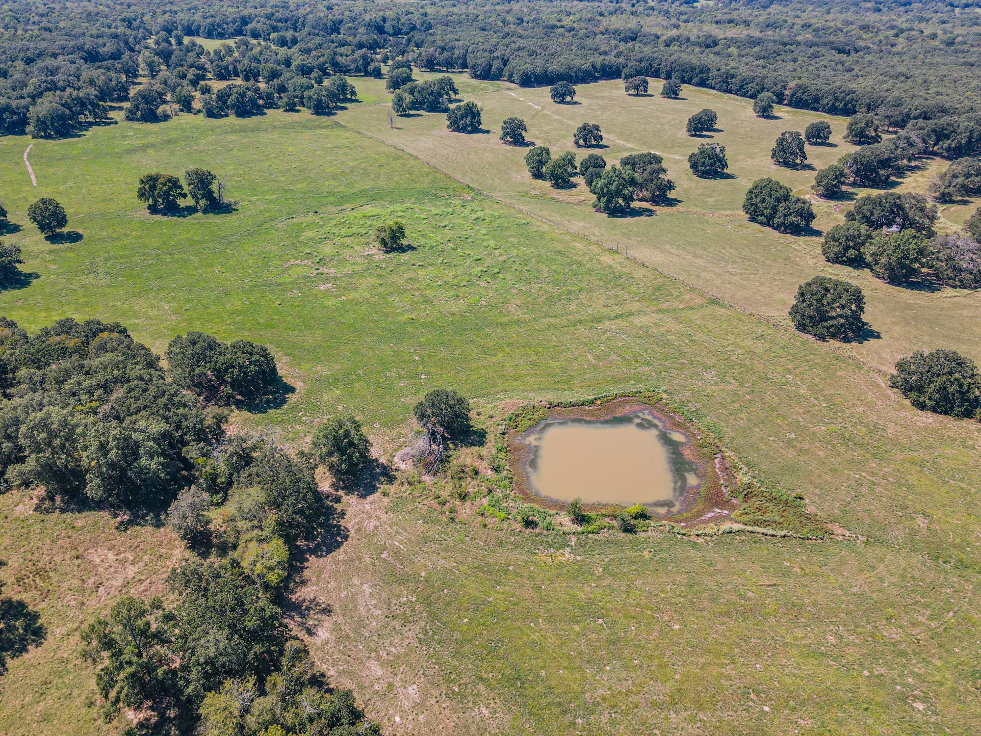 Tbd County Road 1280 Lake Creek TX 75481