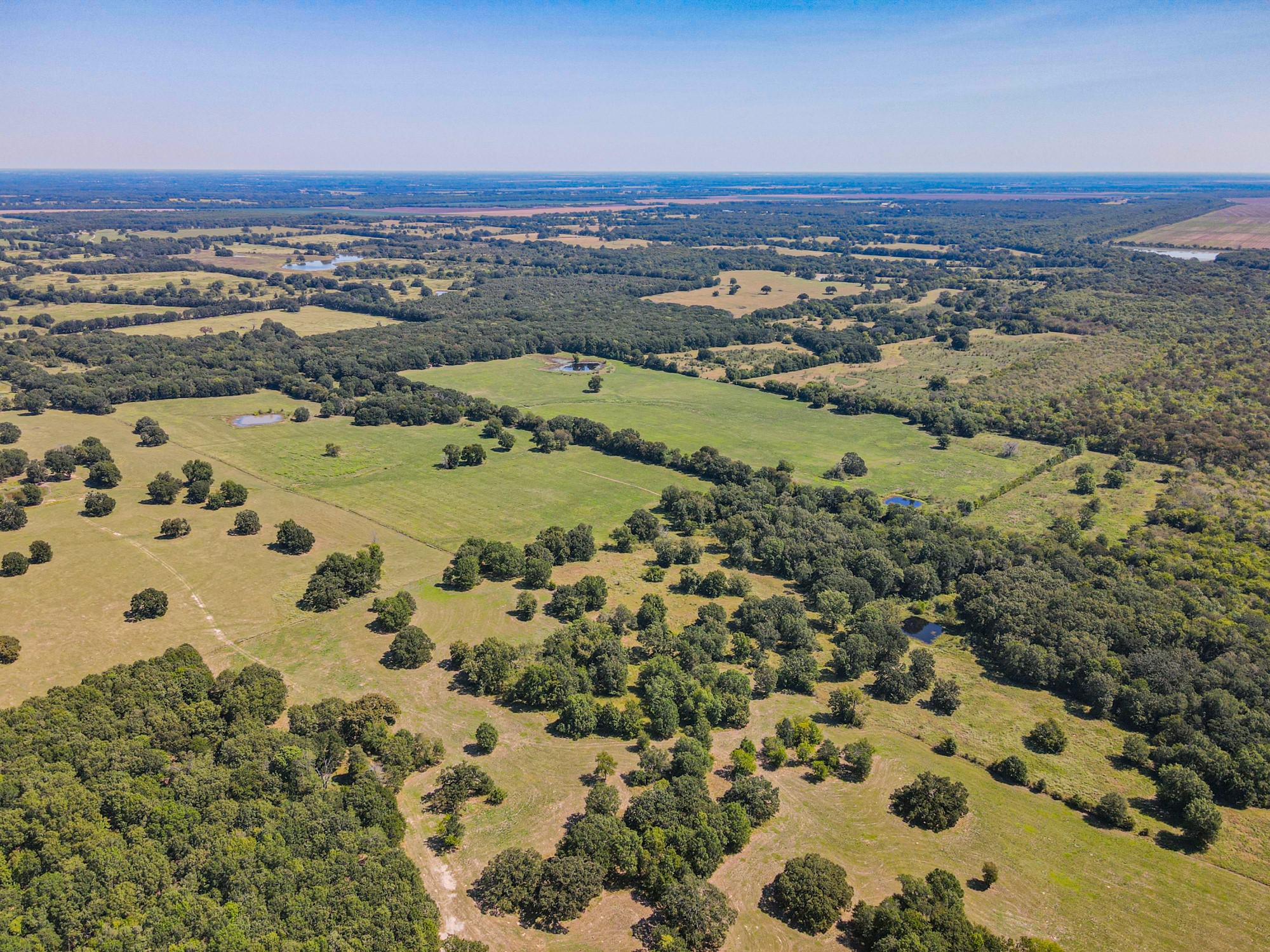Tbd County Road 1280 Lake Creek TX 75481