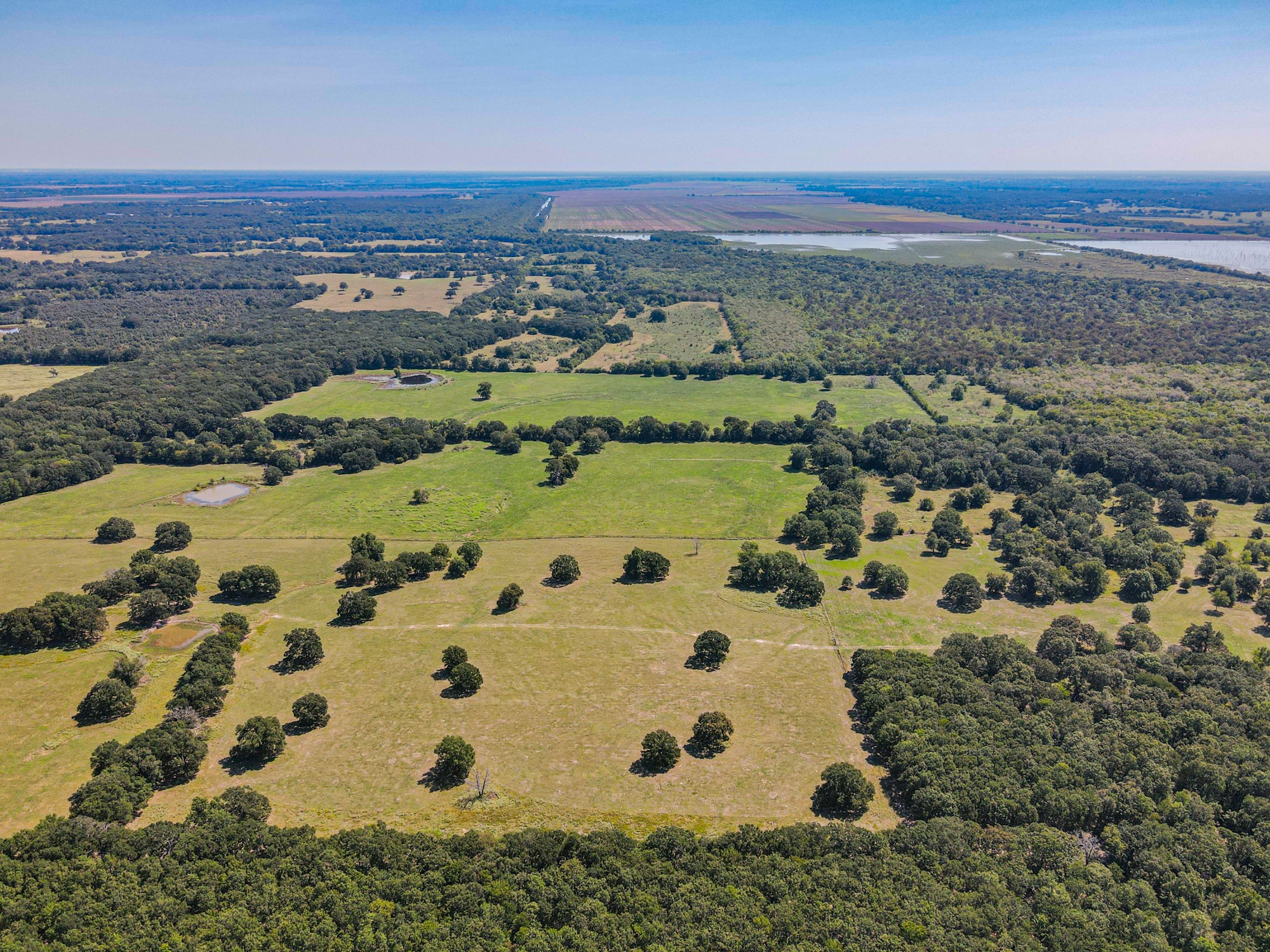 Tbd County Road 1280 Lake Creek TX 75481