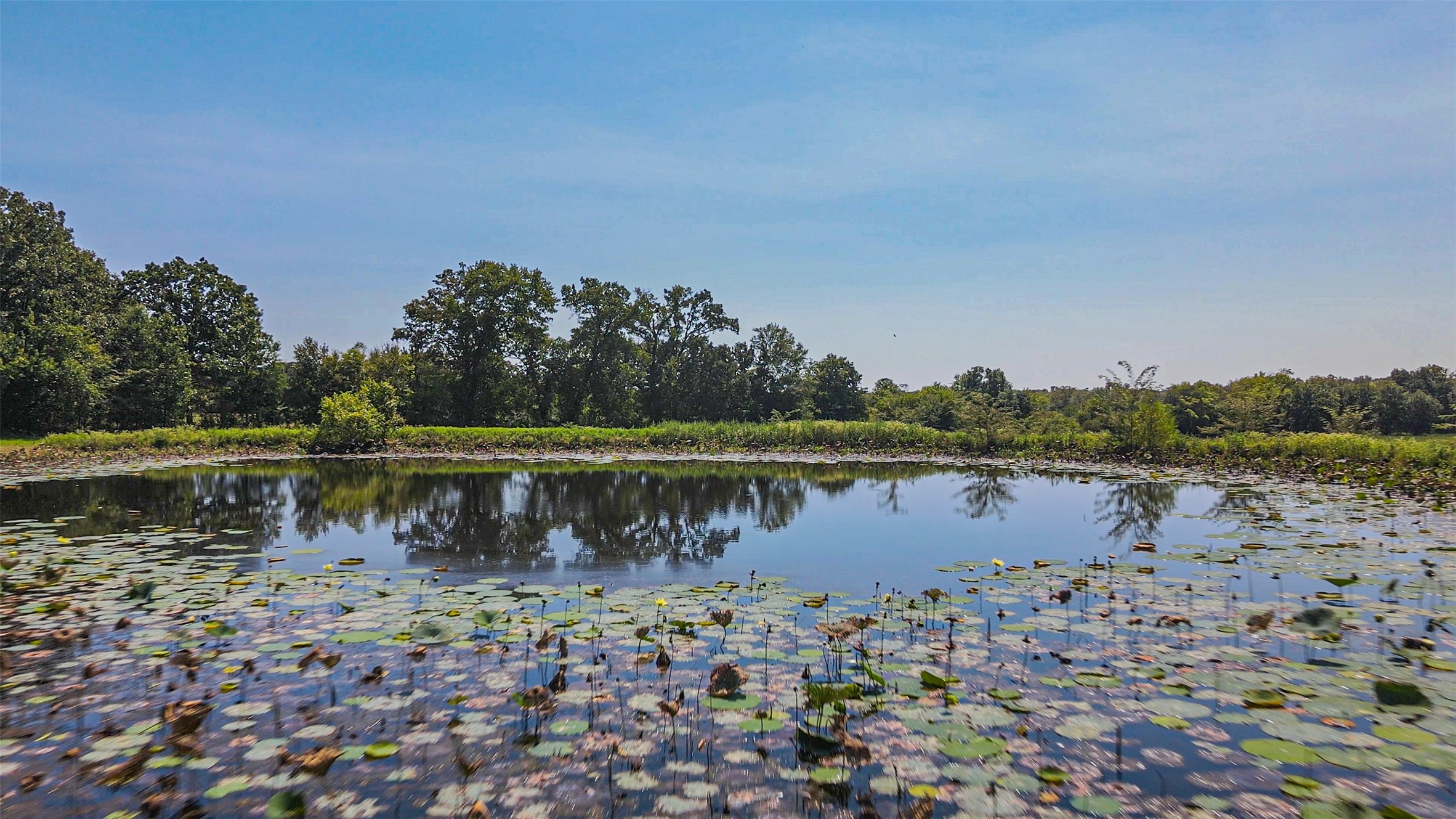 Tbd County Road 1280 Lake Creek TX 75481