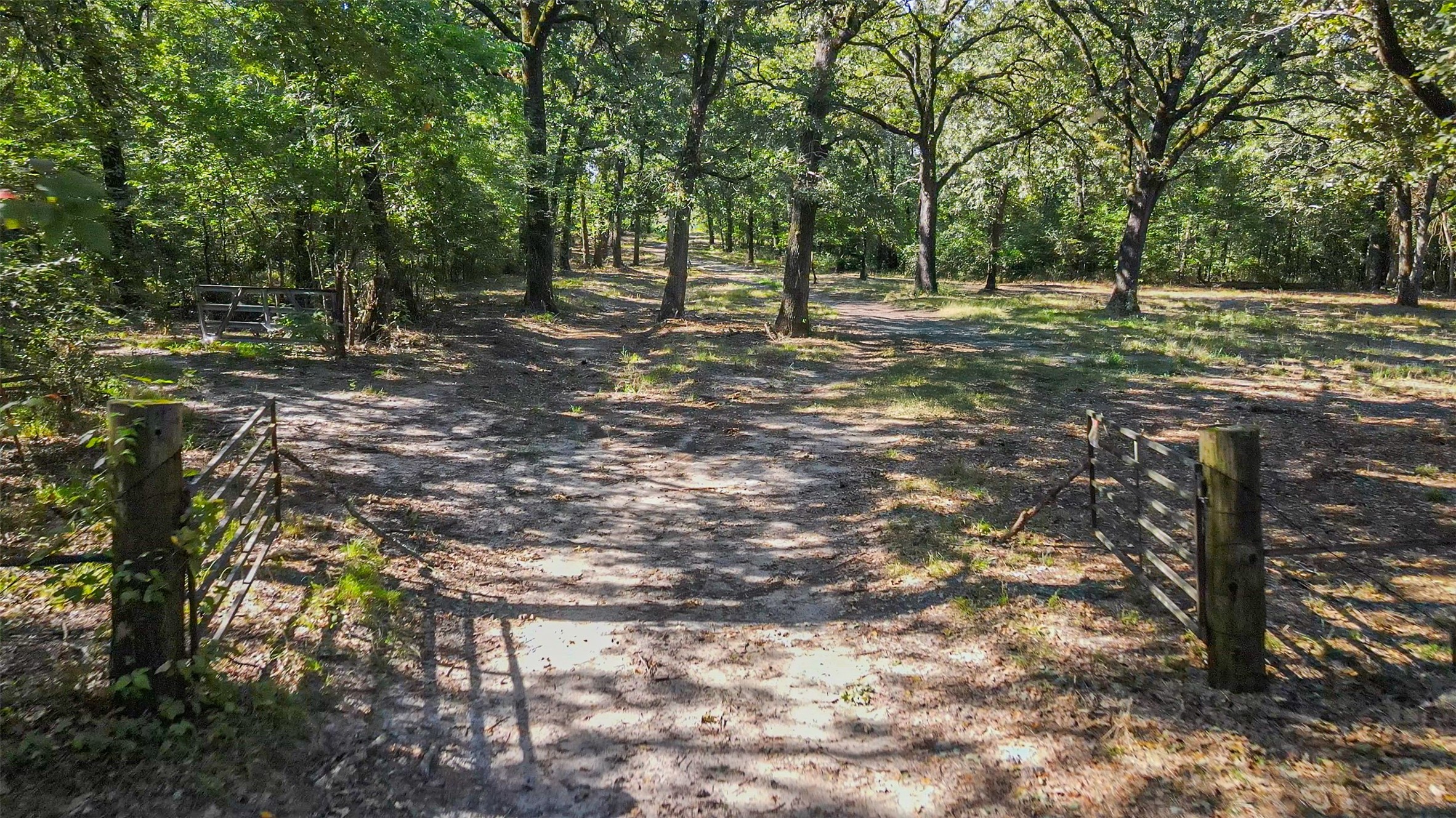 Tbd County Road 1280 Lake Creek TX 75481