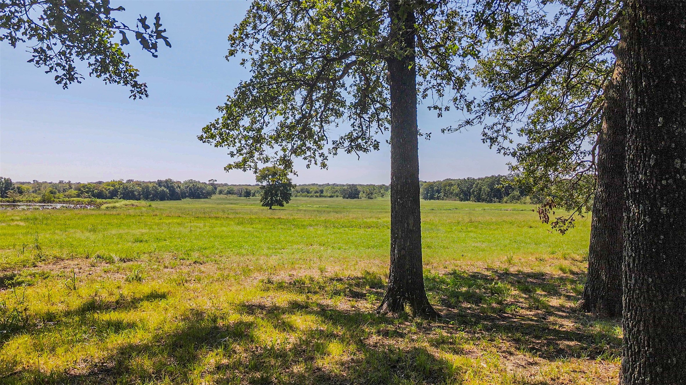 Tbd County Road 1280 Lake Creek TX 75481
