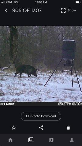 Tbd County Road 1280 Lake Creek TX 75481