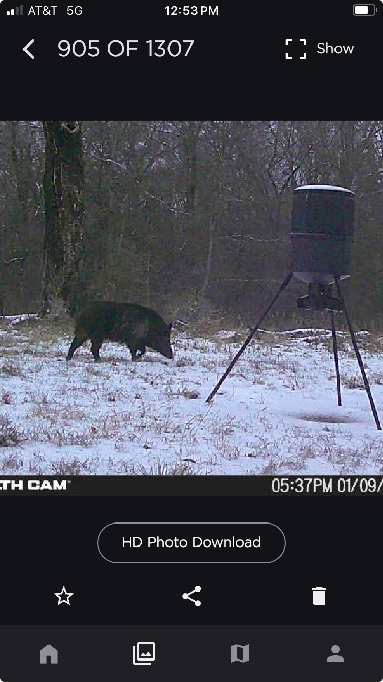 Tbd County Road 1280 Lake Creek TX 75481
