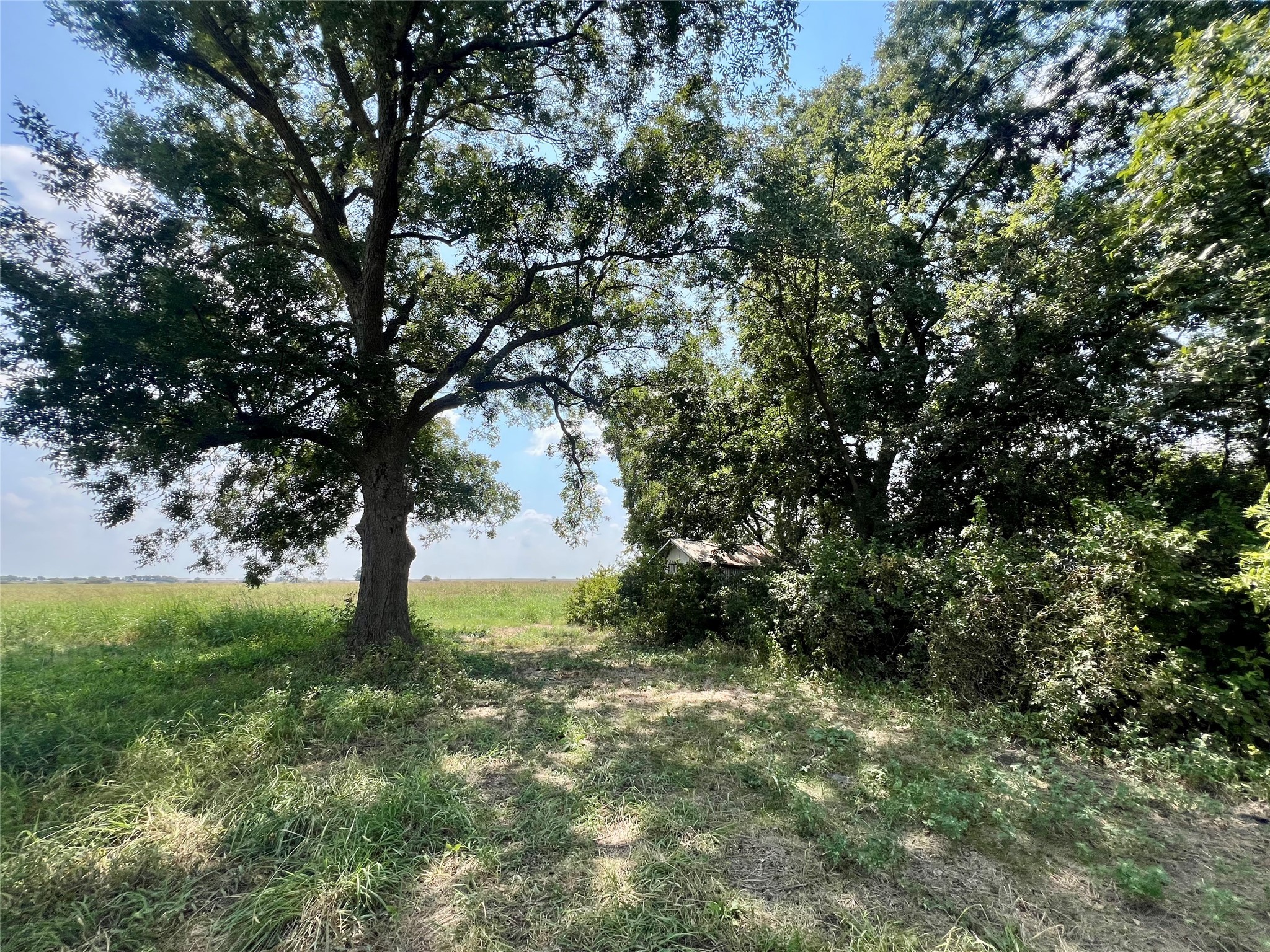 Tbd 24 Acres Lowell Road Milford TX 76670