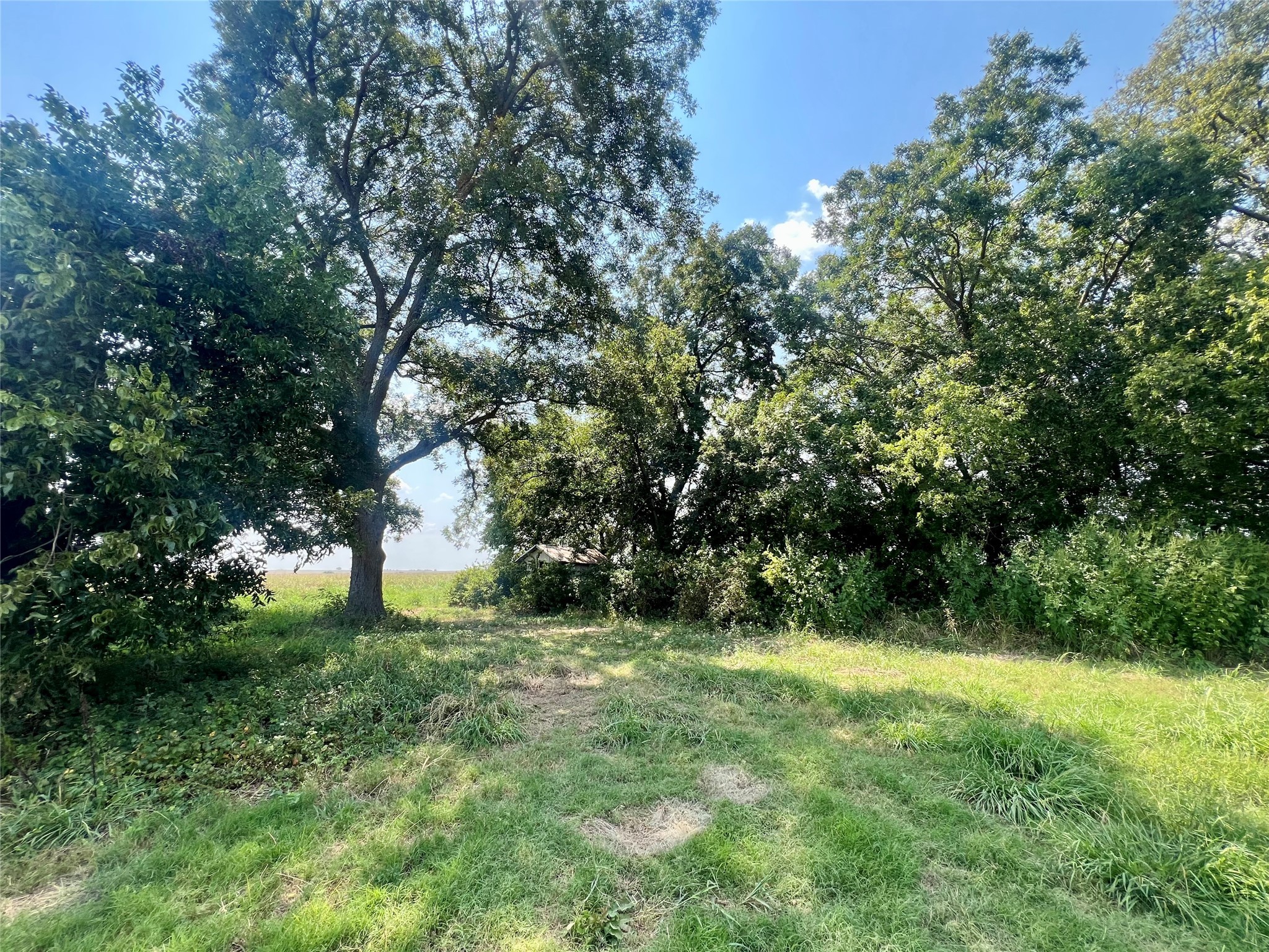 Tbd 24 Acres Lowell Road Milford TX 76670