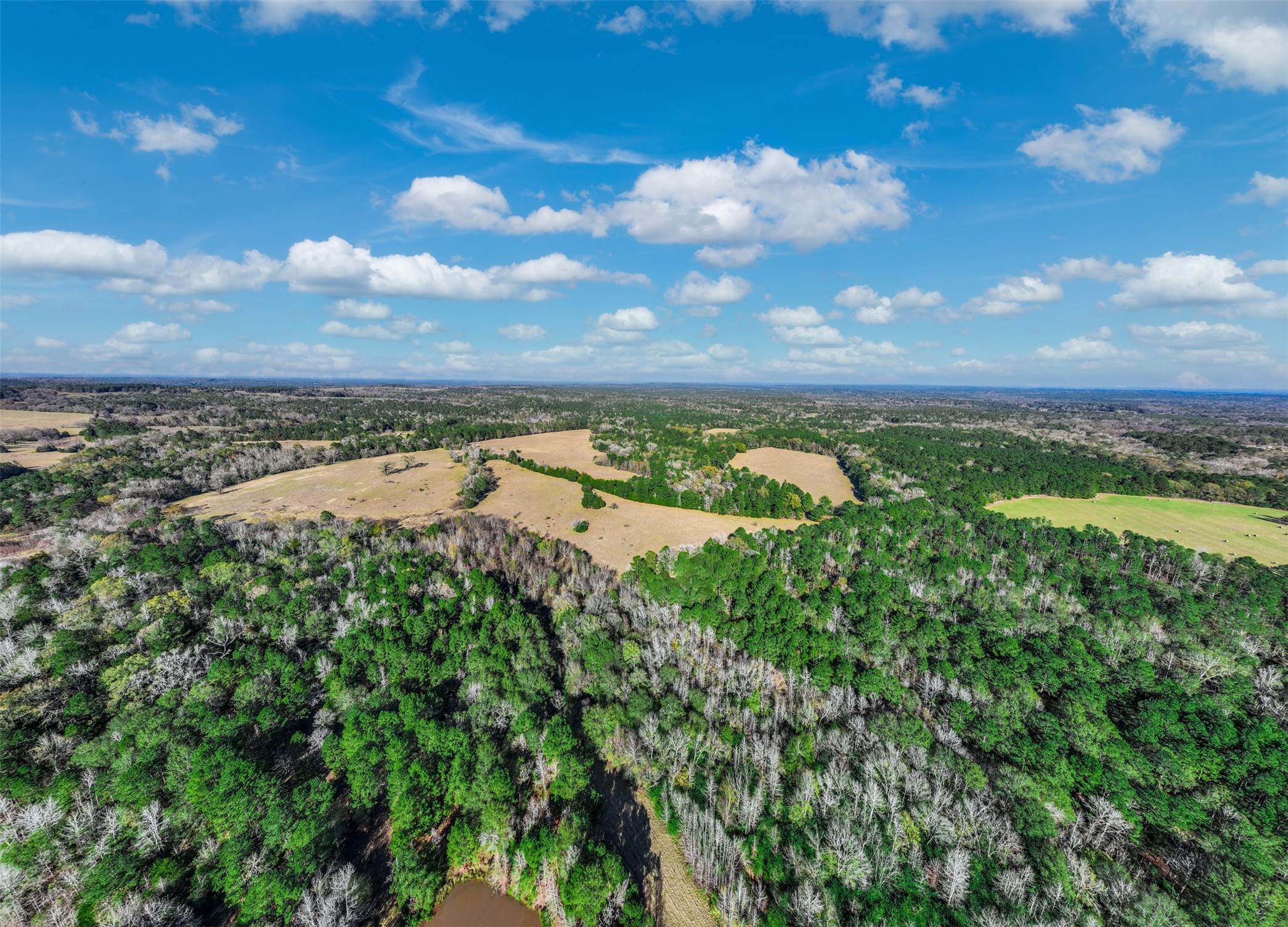 0 An County Road 153 Palestine TX 75801