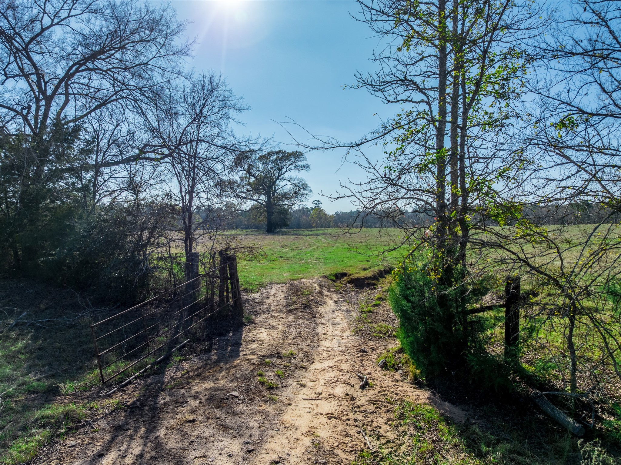 0 An County Road 153 Palestine TX 75801