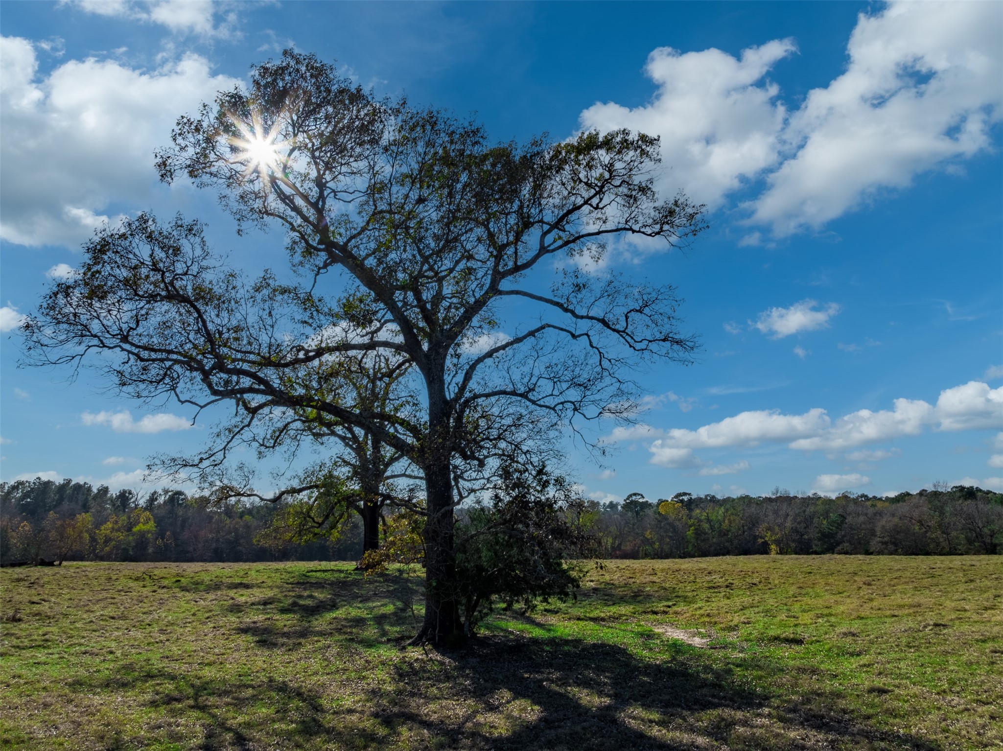 0 An County Road 153 Palestine TX 75801