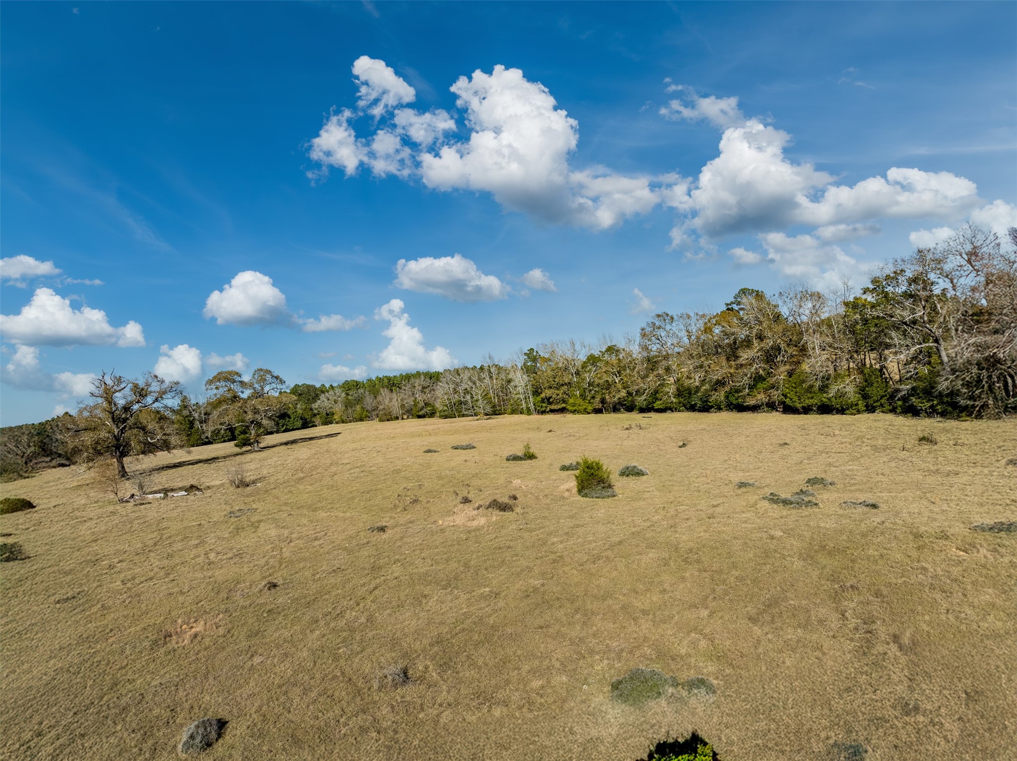 0 An County Road 153 Palestine TX 75801