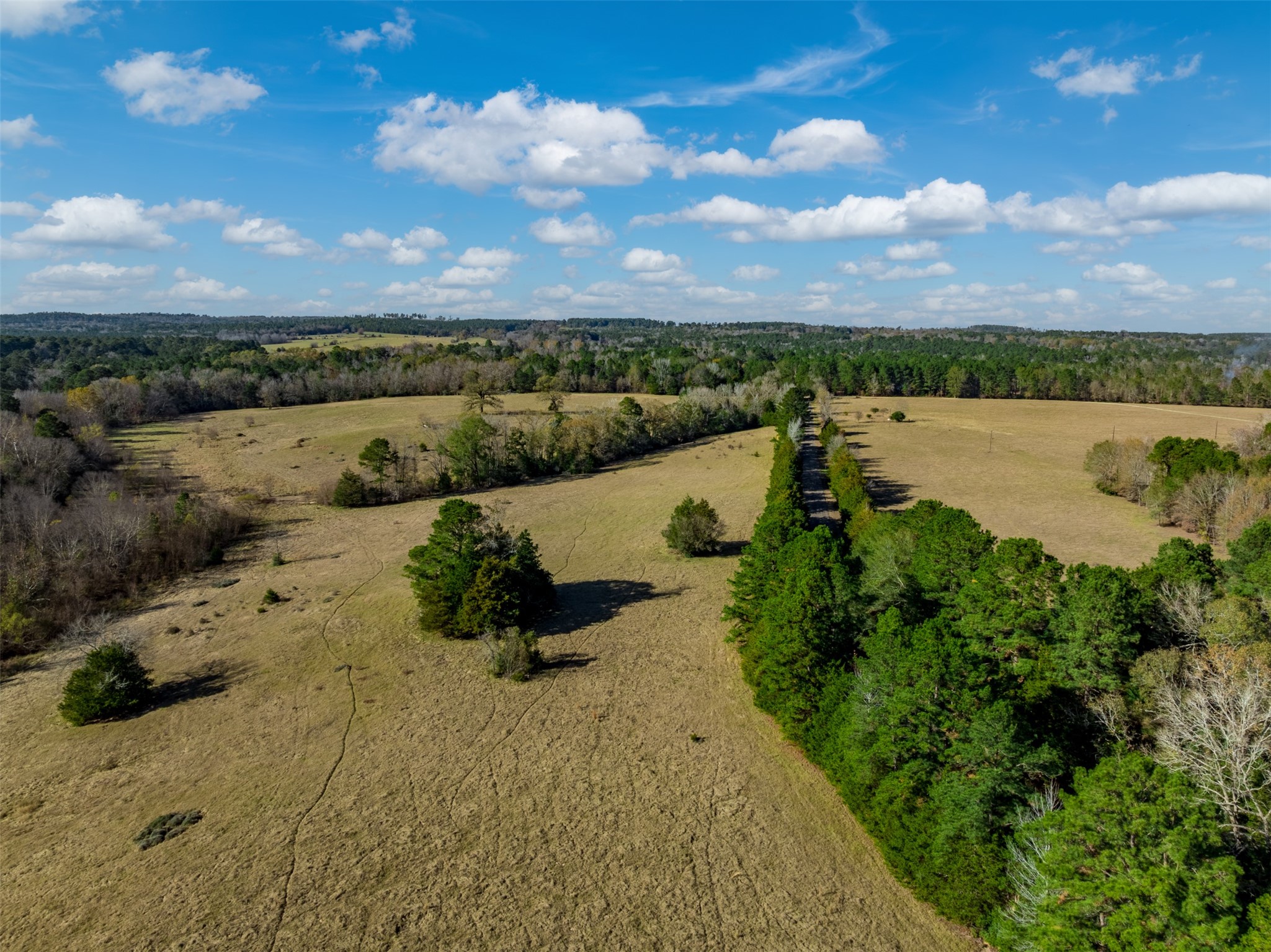 0 An County Road 153 Palestine TX 75801