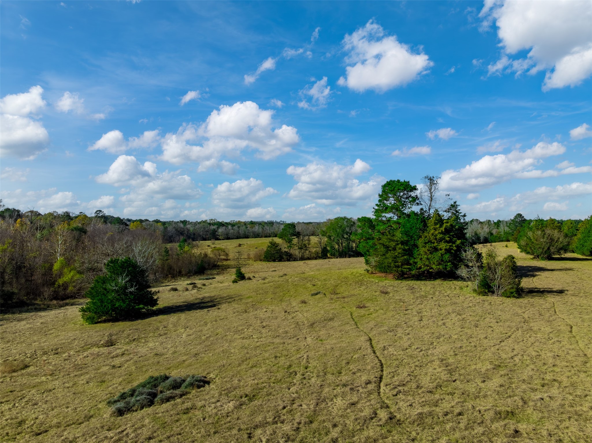 0 An County Road 153 Palestine TX 75801