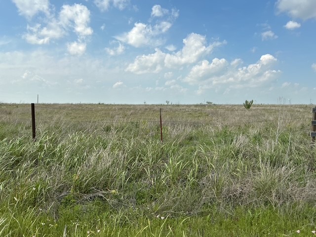 277 Hcr 3221 Penelope TX 76676