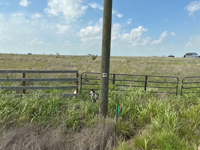 277 Hcr 3221 Penelope TX 76676