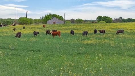 1521 Boyd Road Granbury TX 76049
