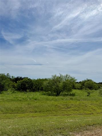 1133 Sparrow Court Graford TX 76449