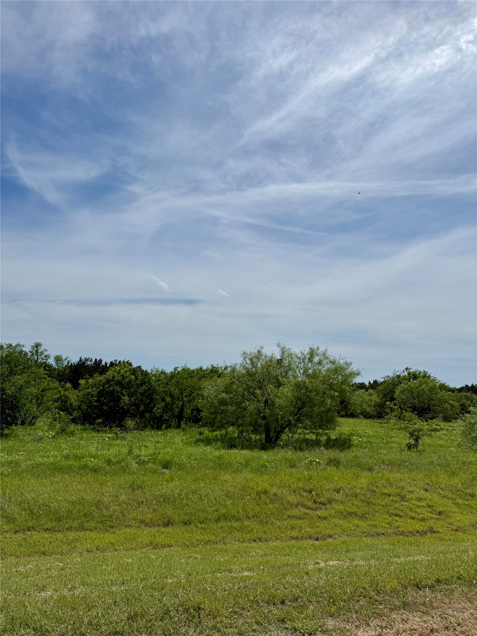 1133 Sparrow Court Graford TX 76449