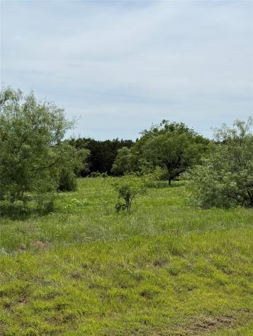 1133 Sparrow Court Graford TX 76449