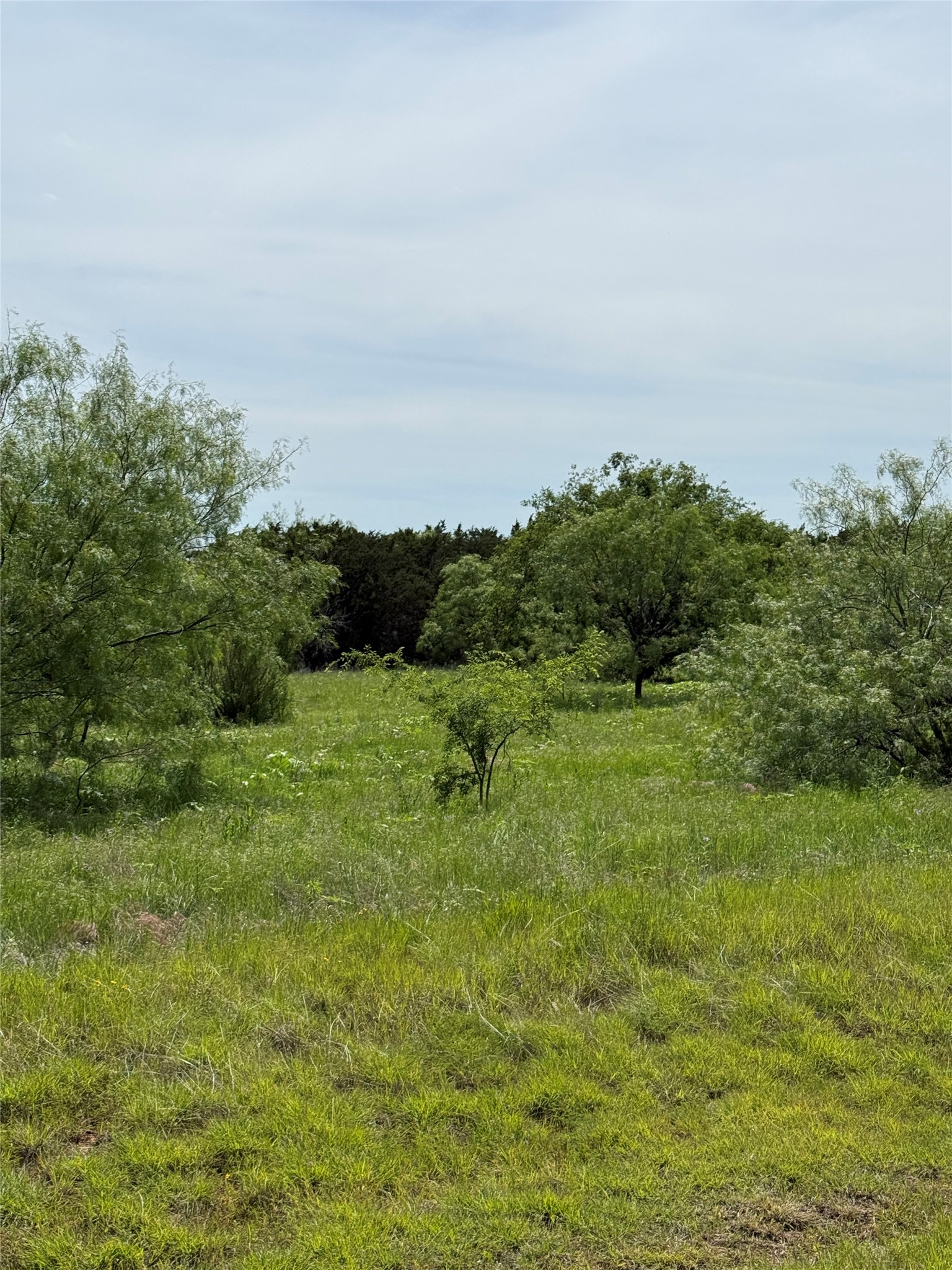 1133 Sparrow Court Graford TX 76449