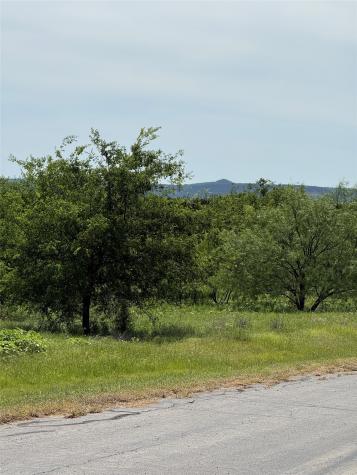 1133 Sparrow Court Graford TX 76449