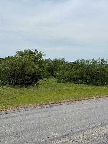 1133 Sparrow Court Graford TX 76449