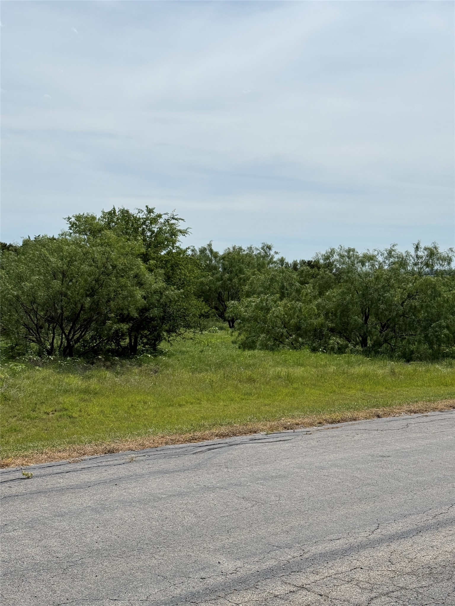 1133 Sparrow Court Graford TX 76449