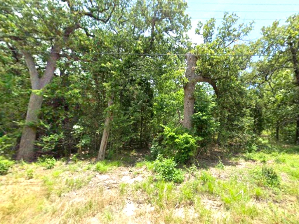 0 Goliad Drive Log Cabin TX 75148