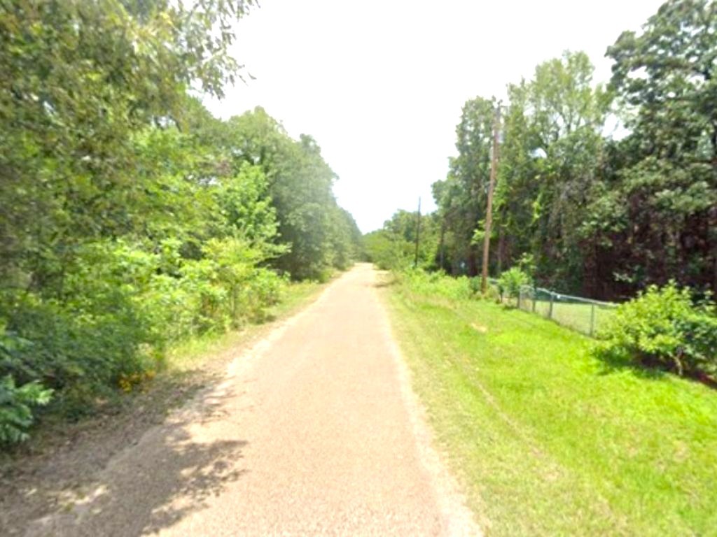 0 Goliad Drive Log Cabin TX 75148