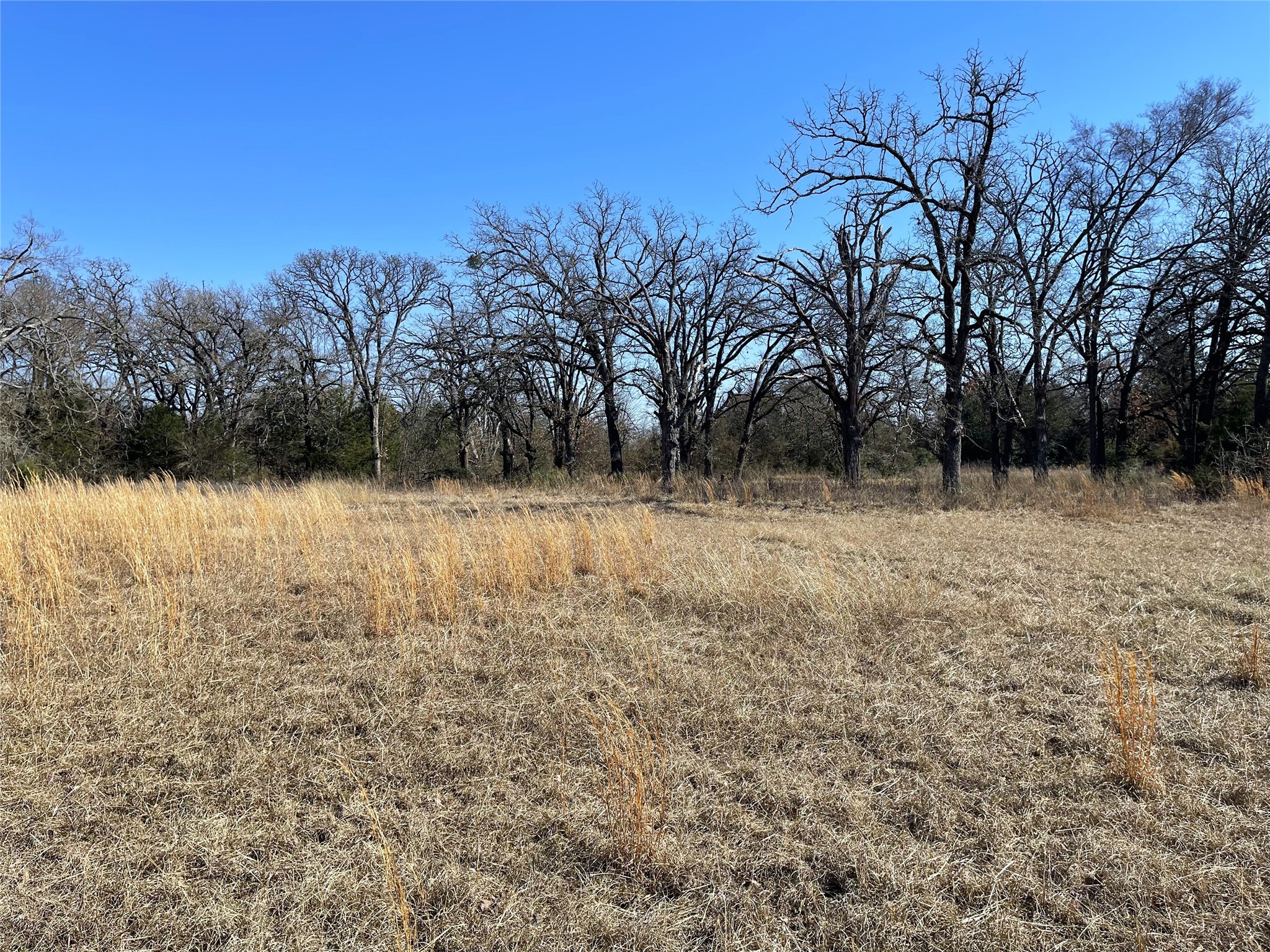 755 Fcr 601 Teague TX 75860