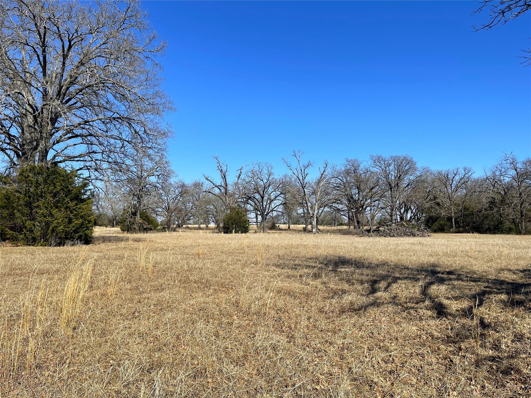 755 Fcr 601 Teague TX 75860