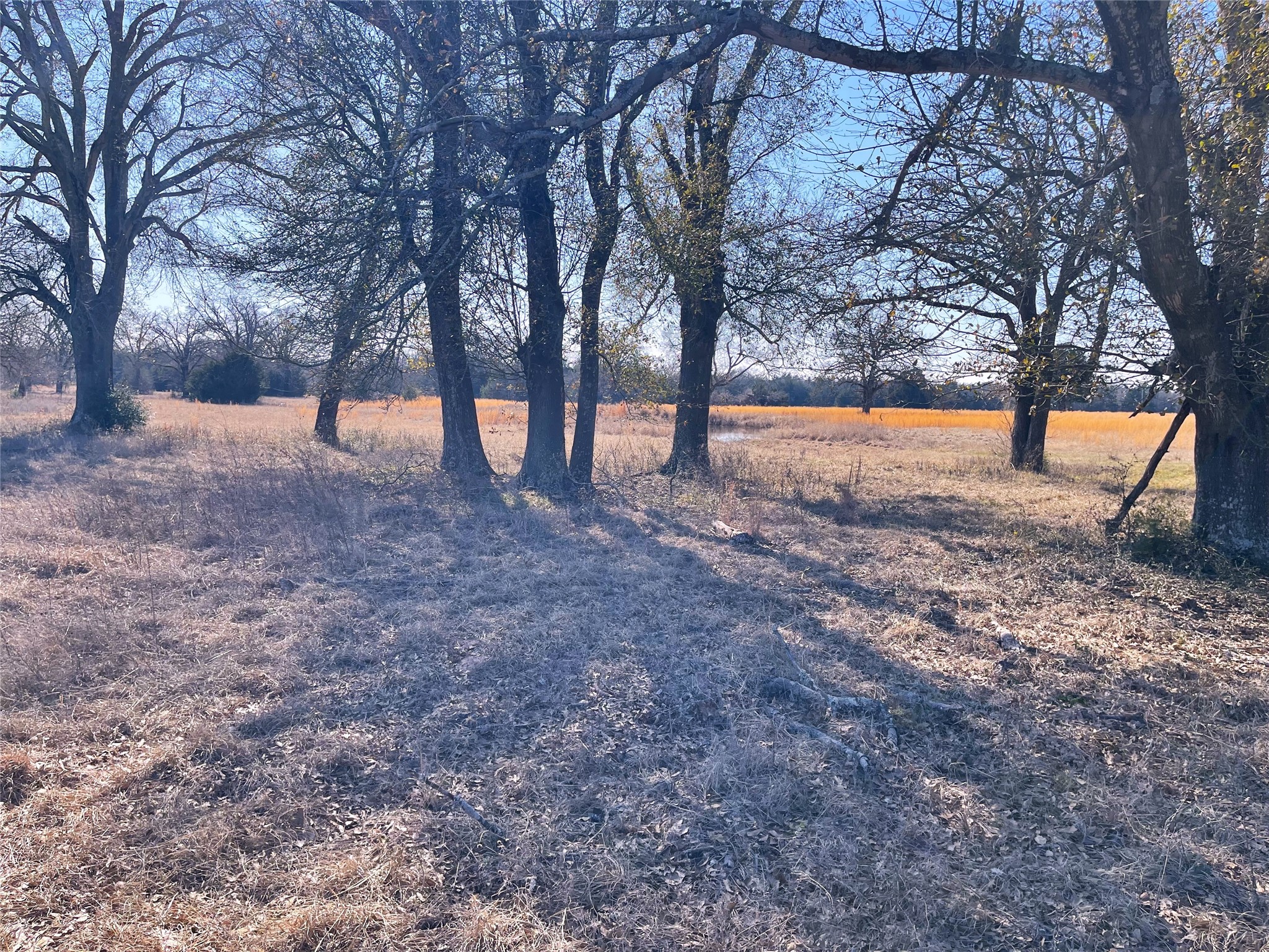 755 Fcr 601 Teague TX 75860