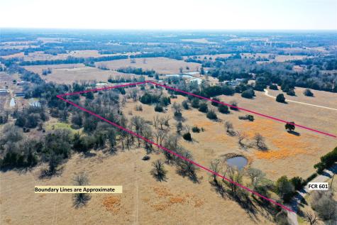 755 Fcr 601 Teague TX 75860