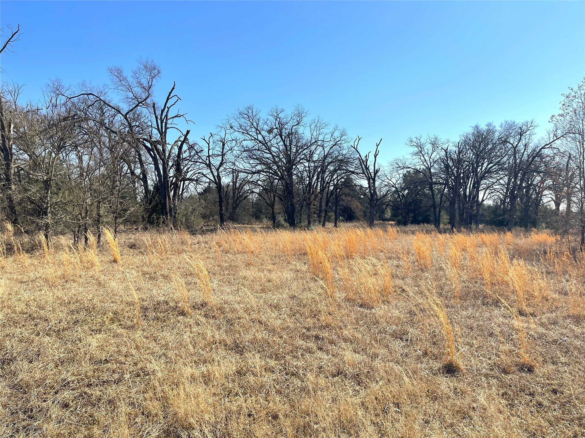 755 Fcr 601 Teague TX 75860