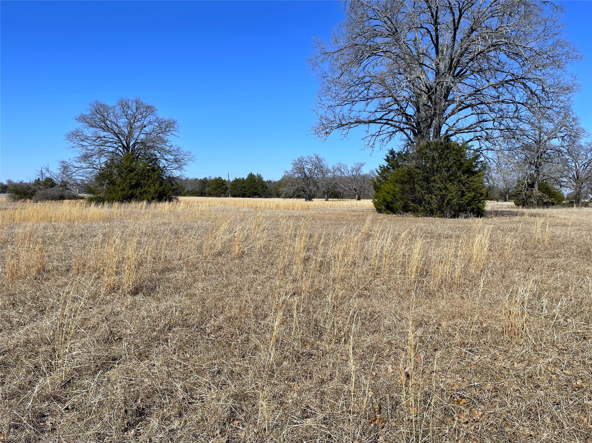 755 Fcr 601 Teague TX 75860