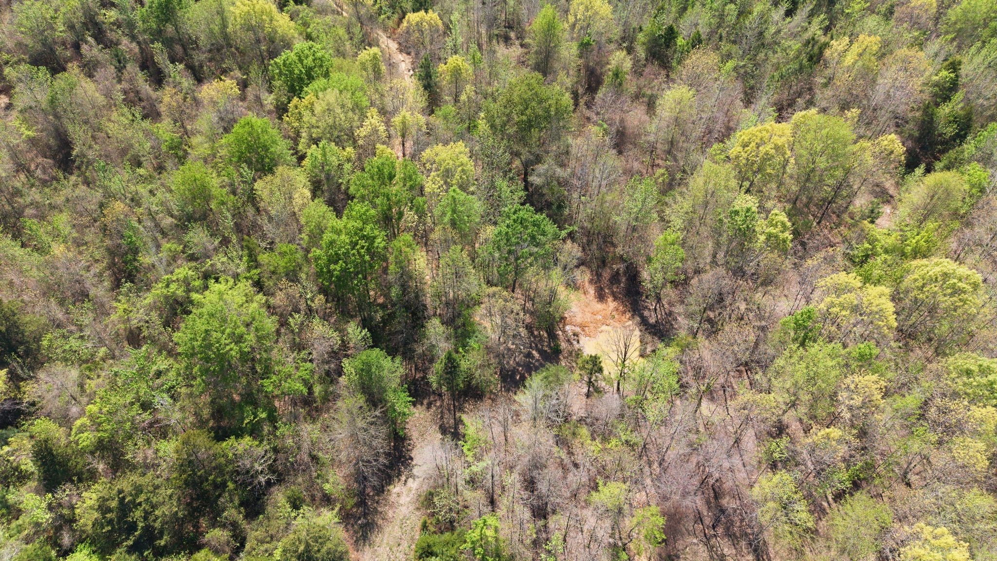 Tbd Cr 2382 Alba TX 75410
