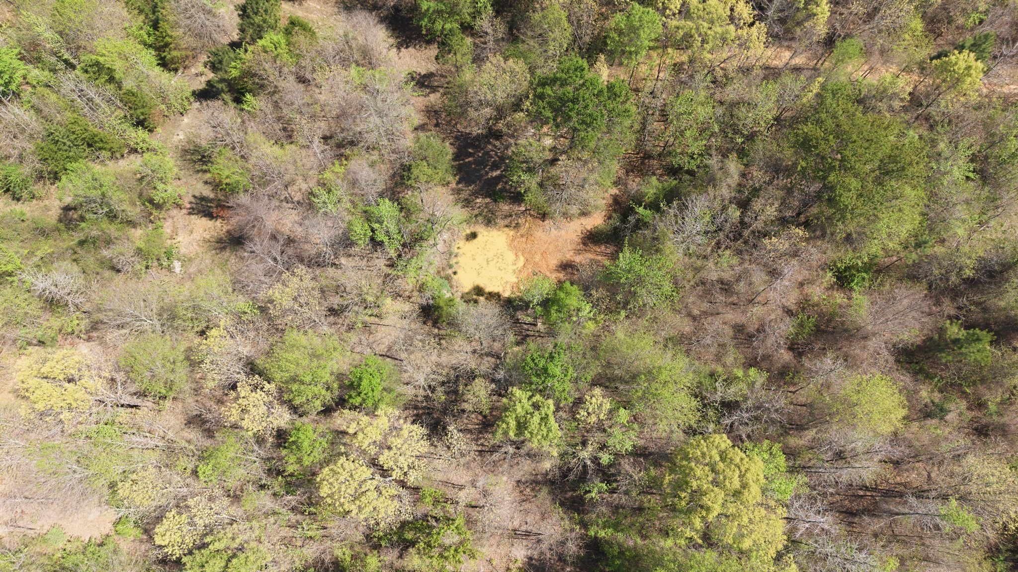 Tbd Cr 2382 Alba TX 75410