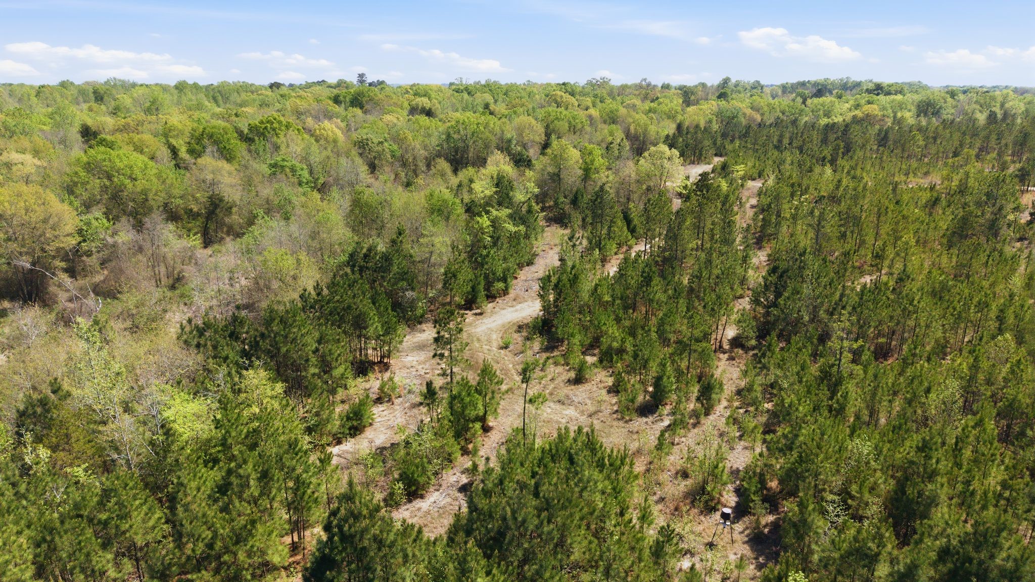Tbd Cr 2382 Alba TX 75410